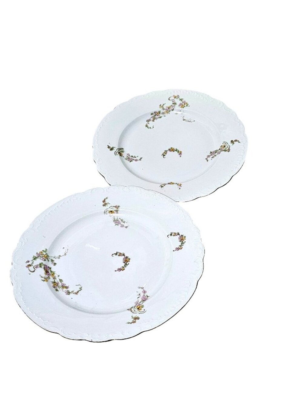 2 Vintage Karlsbad Austria Plates 9" floral porcelain delicate flower scalloped